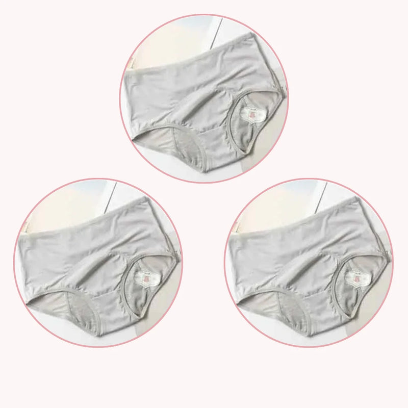 Menstrual Panties (Set of 3 Pieces)