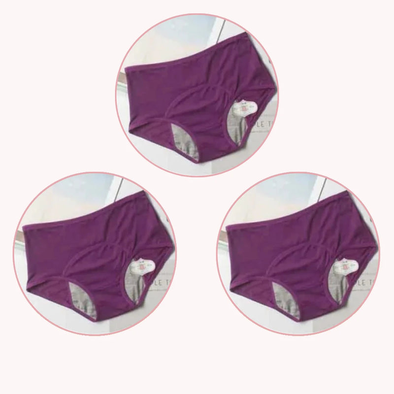 Menstrual Panties (Set of 3 Pieces)