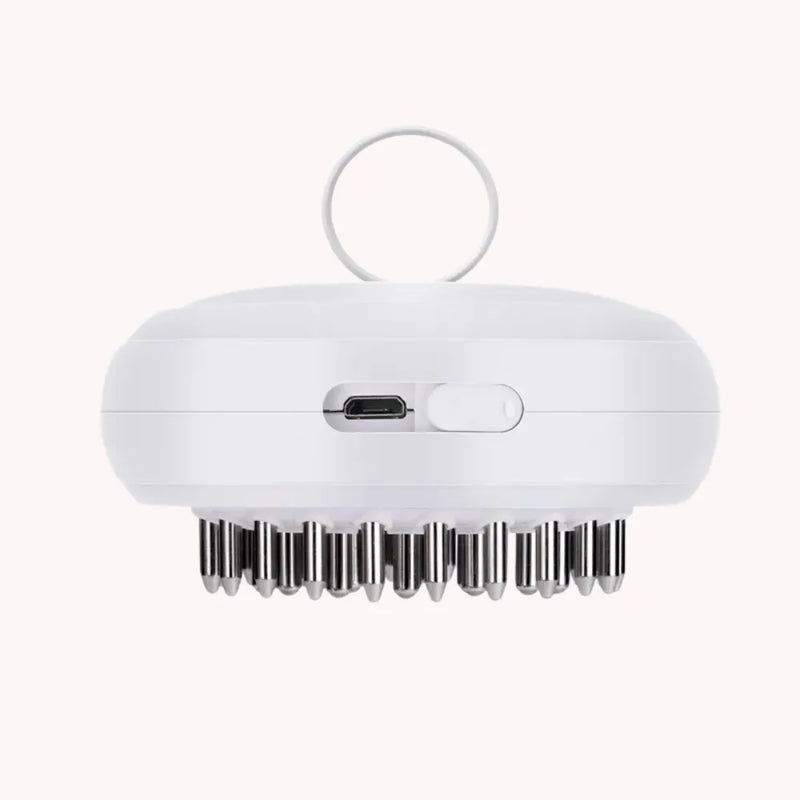 EMS Electric Head & Scalp Brush