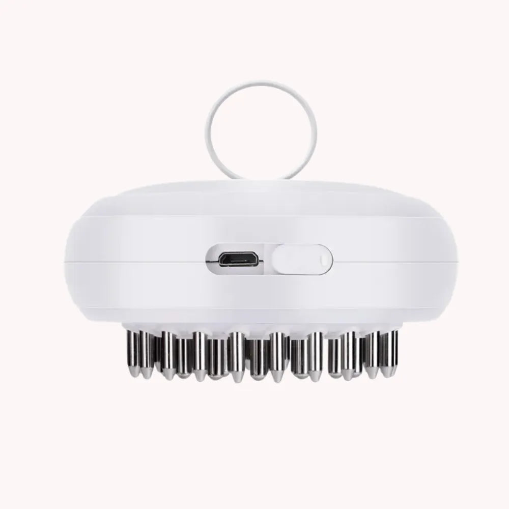 EMS Electric Head & Scalp Brush