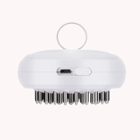 EMS Electric Head & Scalp Brush